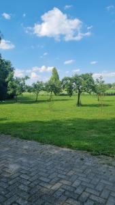 Tiny house on the Veluwe the outdoor life