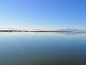 les pieds dans leau 2