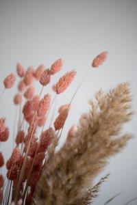 Les Appartements Porte Mars Reims Gare Centre