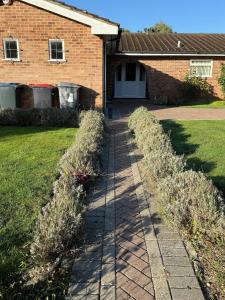 Angelas English Bungalow