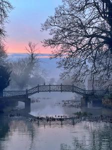 Finest Retreats - The Potting Shed at Island Hall