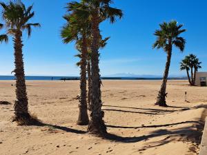 Joli t2 valras plage