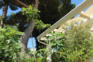 Villetta Fontanelle-Ugento a pochi passi dalla spiaggia - Apulia Home