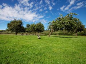 2 Bed in Bleadon 40762