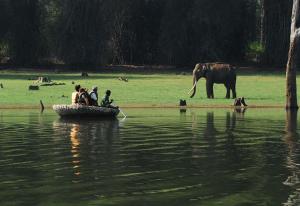 Serene Kabini Wild lodge