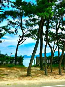 pine grove Seaside guest house