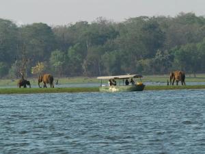 Serene Kabini Wild lodge