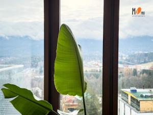 Apartament IZERY Szklarska Poręba by MSPro