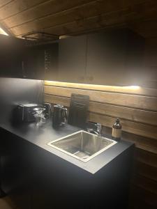 Arctic circle cabin 1