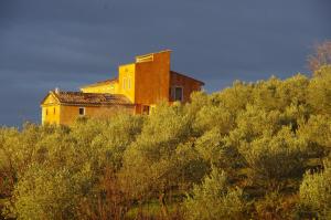 Maisons d'hotes Pontet-Fronzele agrotourisme ecologique, maison d'hotes & Spa : Grande Chambre Double 