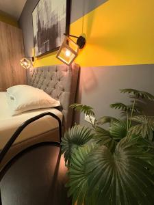 NAR Royalton Apartment #76