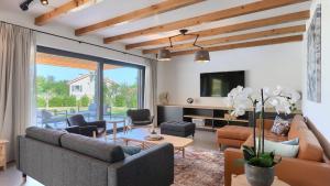 Modern villa Pinca with pool and grill in Vizinada