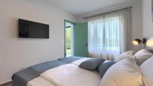 Modern villa Pinca with pool and grill in Vizinada