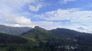 Shobha home stay