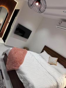 استوديو النخيل الكلاسيكي