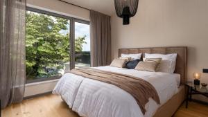 Luxury Villa Lipa Tree with pool in Novigrad