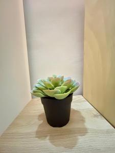 Appartamento a Roma 1 bijou