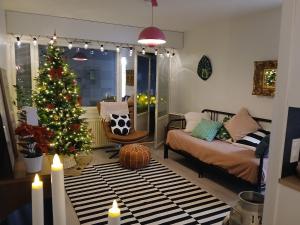 The Riverside Apartment for 4 persons, in the center of Rovaniemi