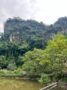 Tam Coc Mountain Light Homestay