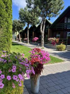 La Jolla Domki Drewniane