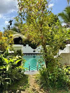 Paddy View Villa
