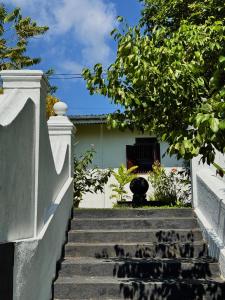 Paddy View Villa