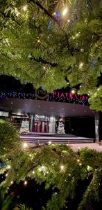 Hotel Piatra Mare