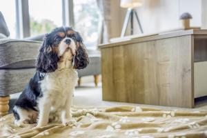 Lodge 64 at Riviera Bay Coastal Retreat