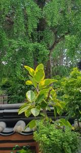 전주한옥마을 독채 교동스테이