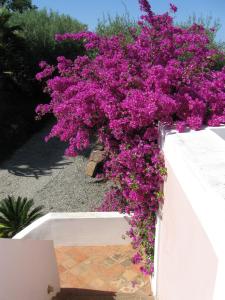 Casa PAGLIERA