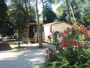 Mobilehome Victoria - Camp Soline 