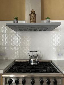 La Luján Ayres de Campo