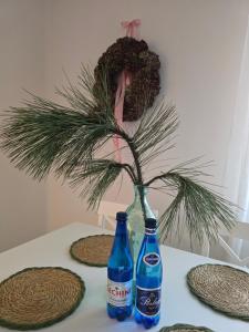 Apartamenty CAPPUCCINO