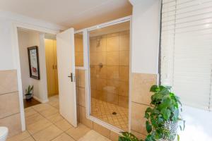 Milkwood Sea Breeze - Wilderness