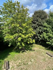 Cozy appart between Paris & Disney