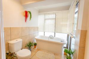 Milkwood Sea Breeze - Wilderness