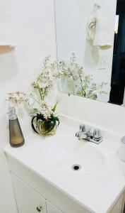 Wonderful LA studio apartment