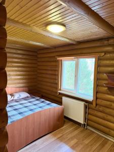 Сонячні Карпати2