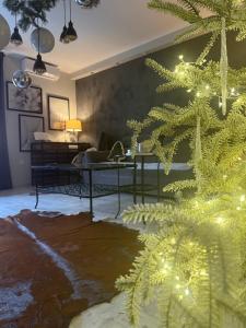 Apartman Pannonica Pin 0-24h