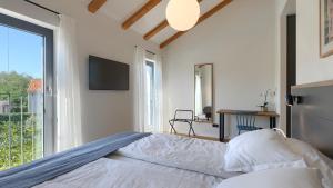 Luxury villa Povetica with pool in Vizinada