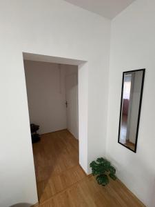 Apartman Tijana