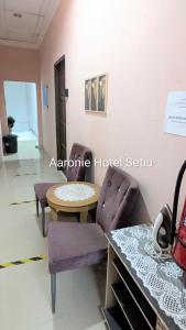 Aaronie Hotel Setiu