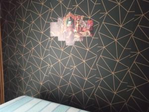 Camping estrela Ubatuba