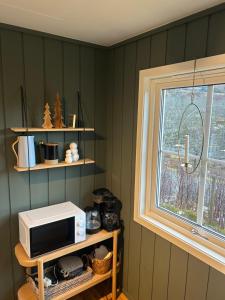 Cabin in Valldalen, Røldal