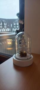 Divčibare Snežna Kraljica ap 13