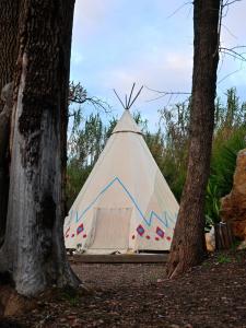 Tipi Indien insolite au Far west