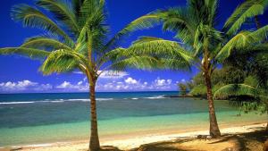 Luxury One Bedroom Residence Pattaya-Pratamnak