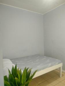 La Guerta Lodging House - Uno