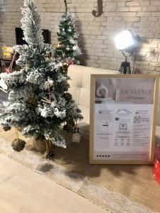 Cocon en bois Majeur - 4 couchages au cœur de Limoux