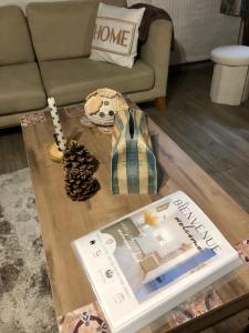 Cocon en bois Majeur - 4 couchages au cœur de Limoux